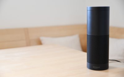Digital Assistants & Voice Search as A Coming Trend