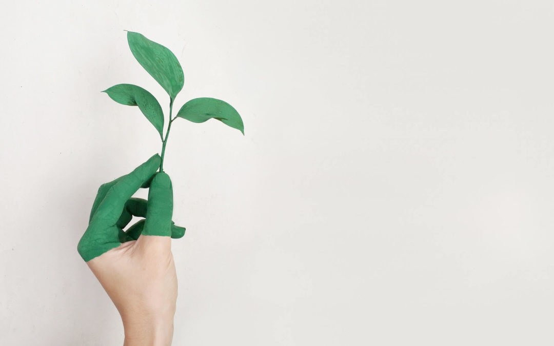Go Green & Save Green: Convert To A Green Office